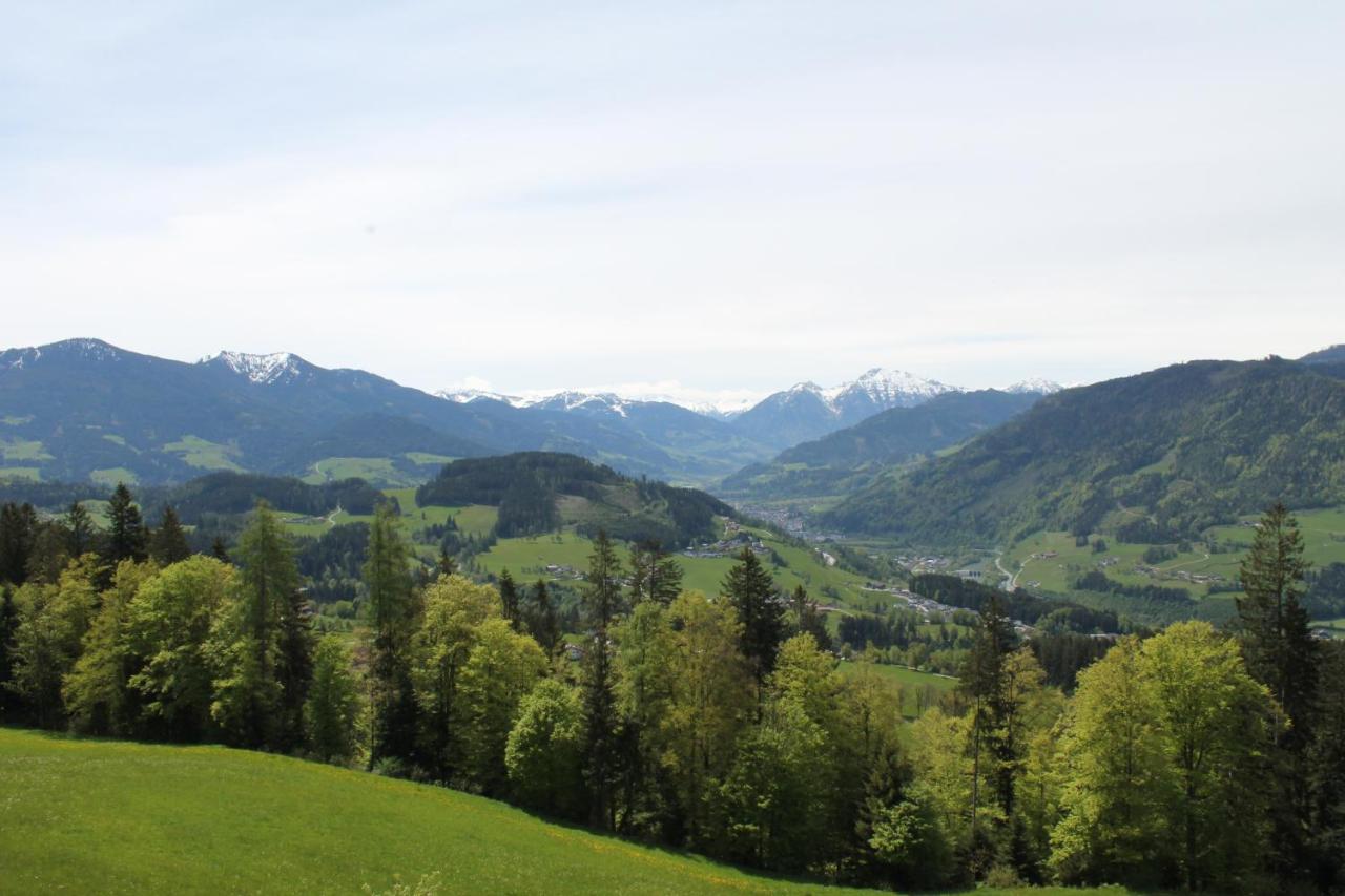 Ferienhotel Samerhof Pfarrwerfen Esterno foto