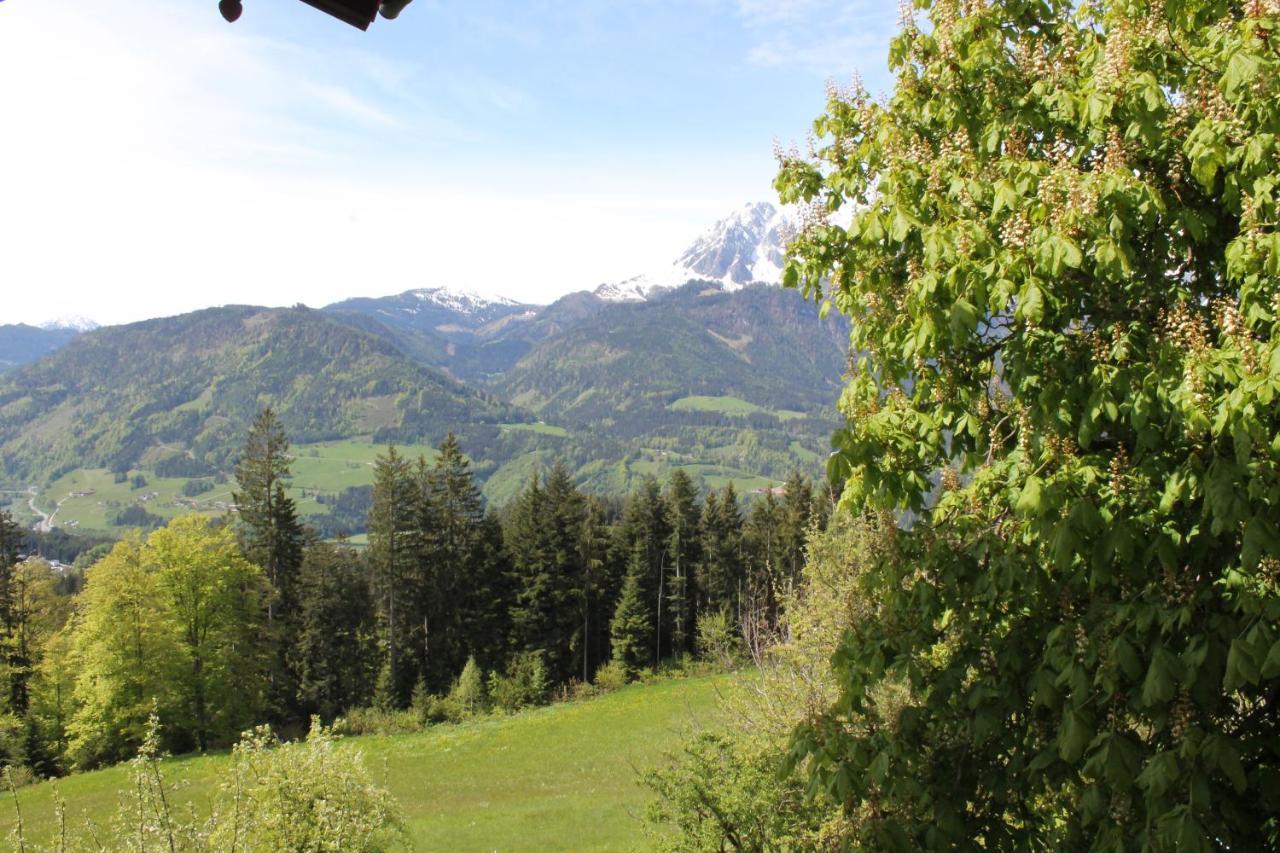 Ferienhotel Samerhof Pfarrwerfen Esterno foto