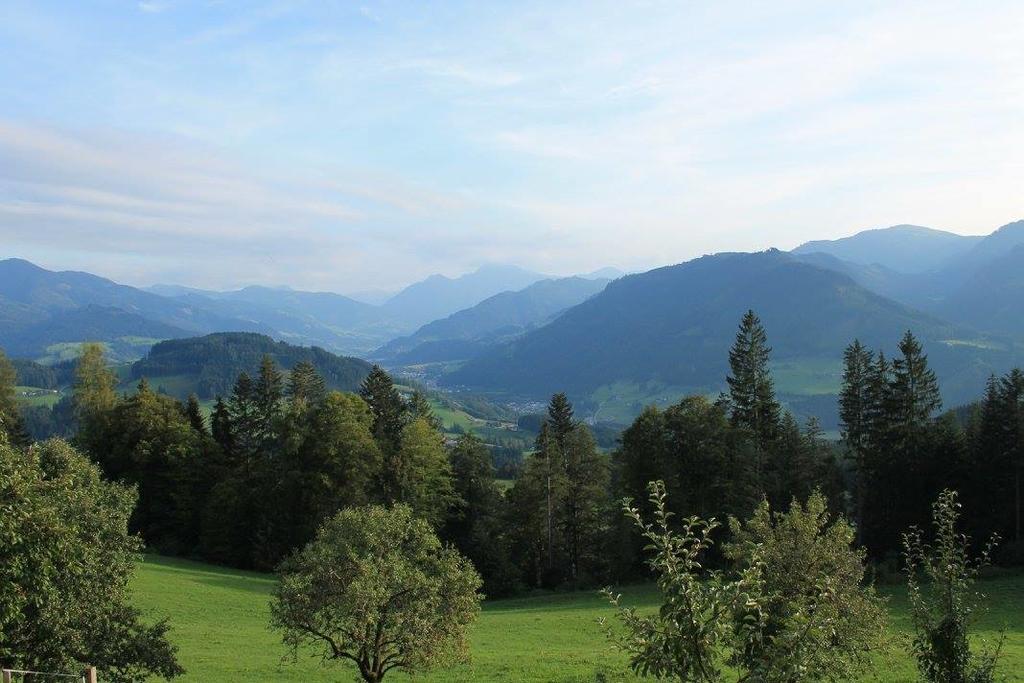 Ferienhotel Samerhof Pfarrwerfen Esterno foto